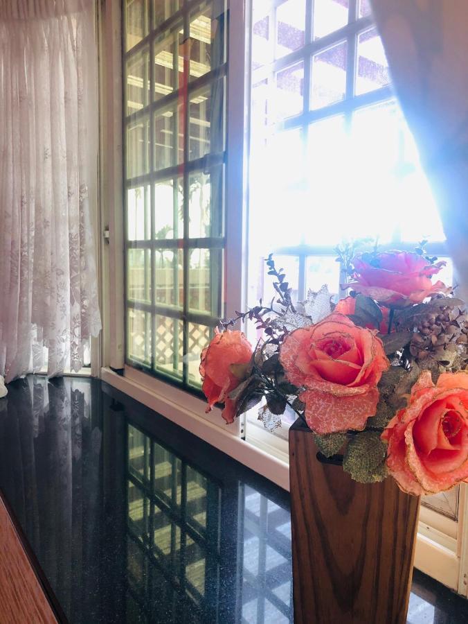 Starlight Forest B&B Jinshi Dış mekan fotoğraf