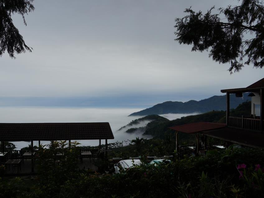 Starlight Forest B&B Jinshi Dış mekan fotoğraf