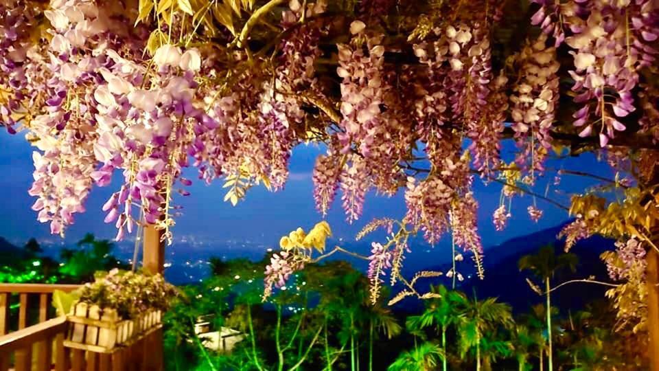 Starlight Forest B&B Jinshi Dış mekan fotoğraf